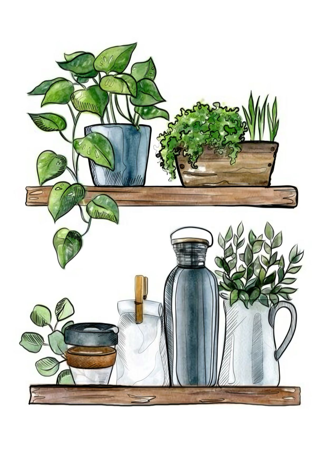 Shrubs